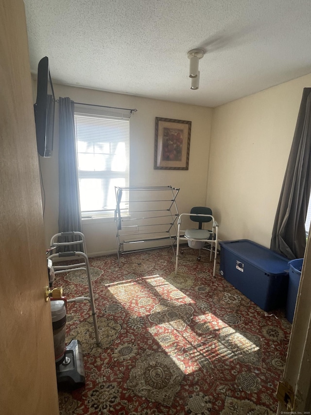 bedroom featuring carpet flooring, baseboard heating, and a textured ceiling