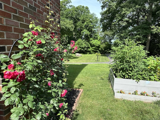 view of yard with a vegetable garden