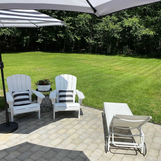 view of yard featuring a patio