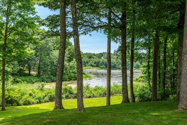 property view of water featuring a forest view