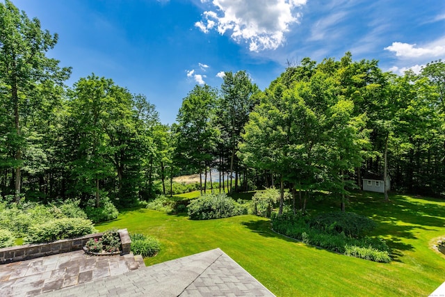 view of yard with a patio