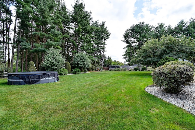 view of yard with an outdoor pool