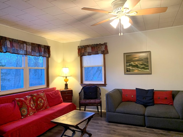 living area with wood finished floors, a ceiling fan, and crown molding