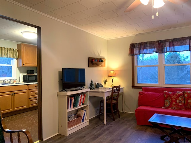 living room featuring a wealth of natural light, dark wood-style floors, a ceiling fan, and ornamental molding