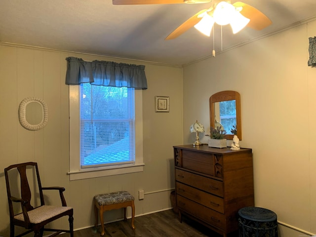 28 Bowhay Hill Rd, Branford, CT 06405 - living area featuring crown molding, ceiling fan, and dark wood finished floors