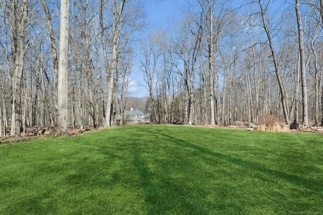 view of yard with a wooded view