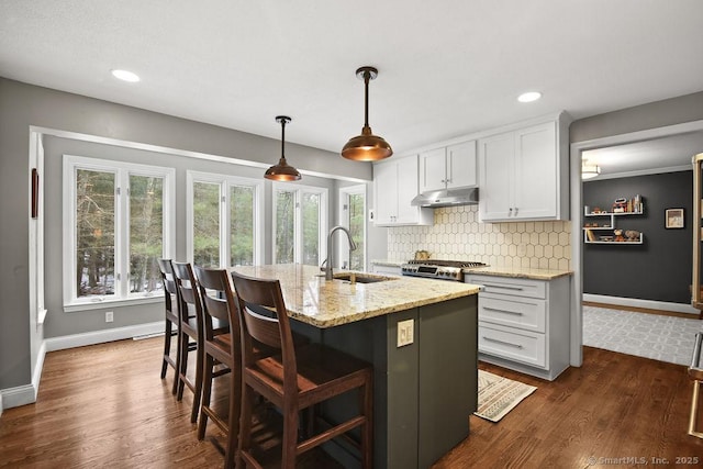 kitchen with backsplash, dark wood-type flooring, light stone countertops, under cabinet range hood, and a sink