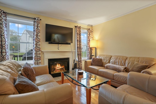 living room featuring a glass covered fireplace, crown molding, and wood finished floors