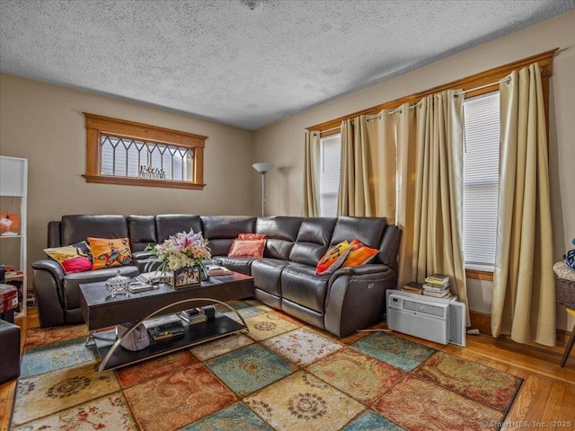 living room featuring wood finished floors and a textured ceiling