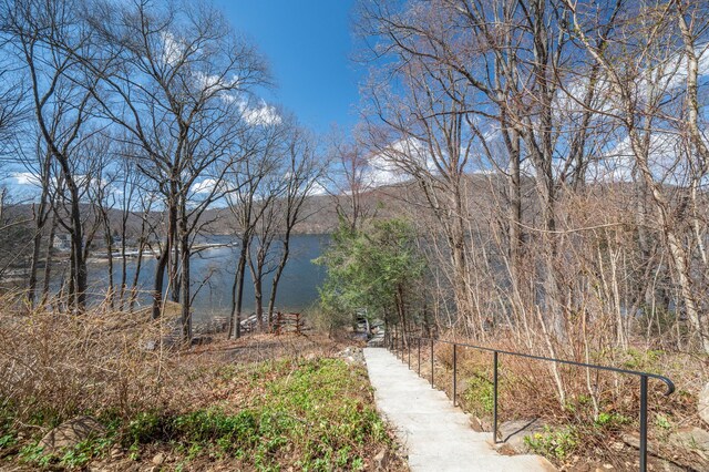 20 Musnug Rd, Danbury, CT 06811 - view of water feature with fence