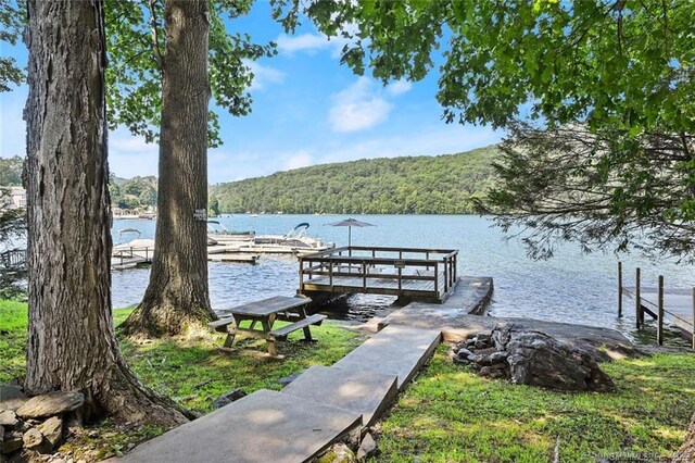 20 Musnug Rd, Danbury, CT 06811 - dock area featuring a water view and a view of trees