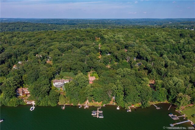 20 Musnug Rd, Danbury, CT 06811 - aerial view featuring a water view and a forest view