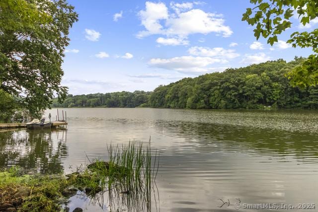 property view of water featuring a view of trees and a dock