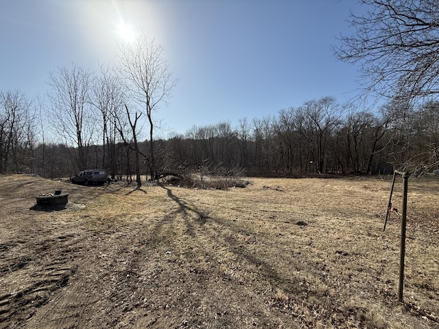 view of yard with a view of trees