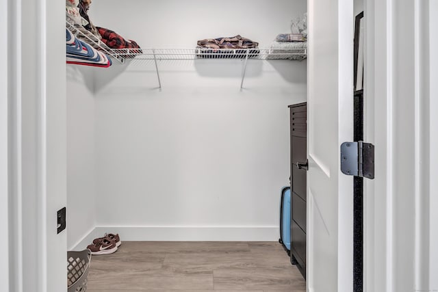 spacious closet featuring wood finished floors