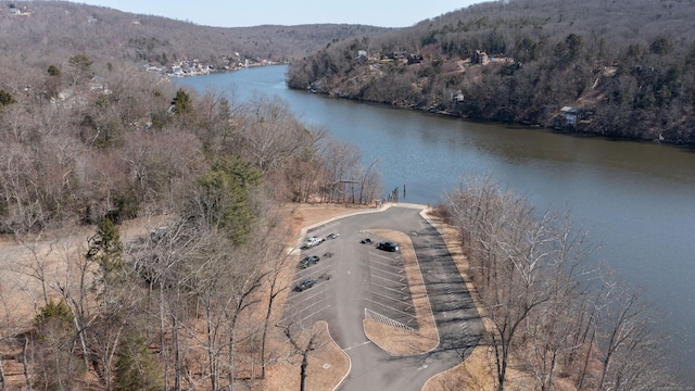 drone / aerial view with a view of trees and a water view