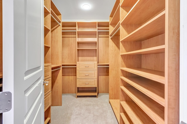 walk in closet with light colored carpet