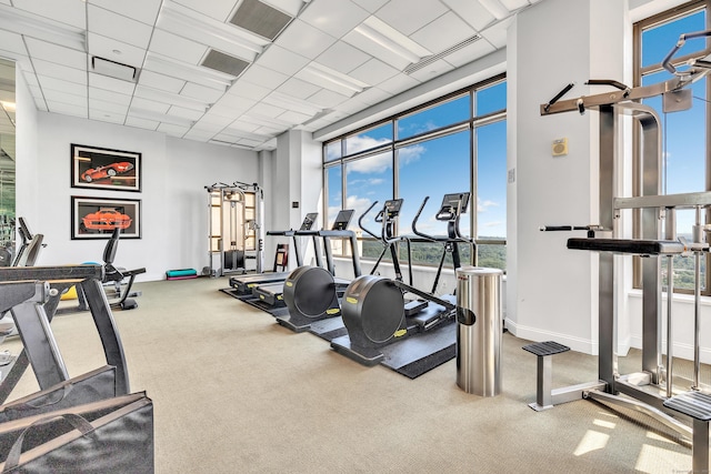 workout area featuring plenty of natural light, a towering ceiling, baseboards, and carpet floors