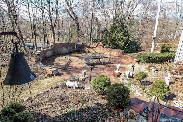 view of yard with a patio