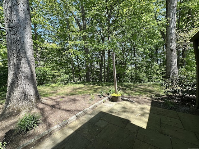 1042 Heritage Vlg Unit A, Southbury, CT 06488 - view of patio / terrace
