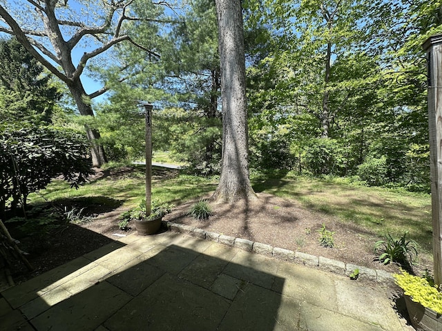 1042 Heritage Vlg Unit A, Southbury, CT 06488 - view of yard with a patio area