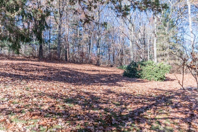 view of local wilderness featuring a view of trees