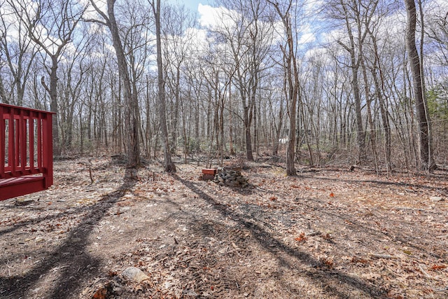 129 Smith Rd, East Haddam, CT 06423 - view of yard