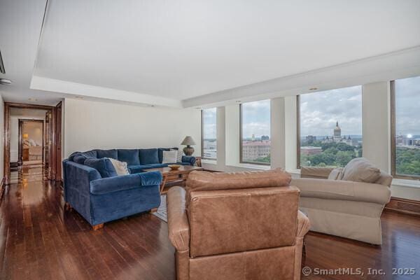 living room with dark wood-type flooring and a view of city