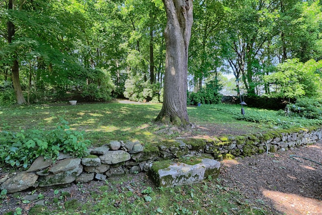 68 Hawthorne Dr, Fairfield, CT 06825 - view of yard