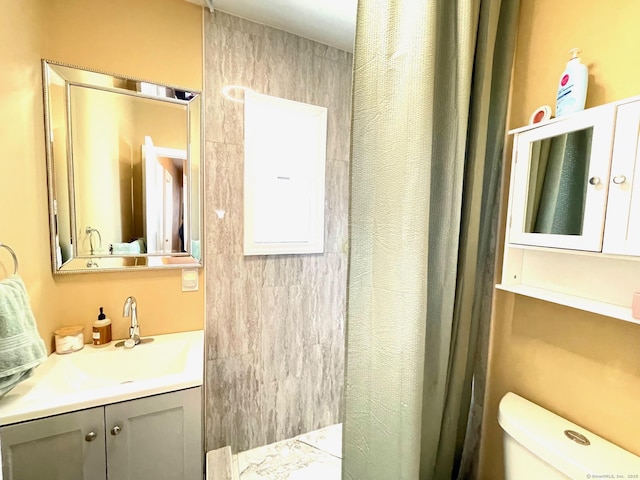 full bathroom featuring vanity, toilet, and a shower with curtain