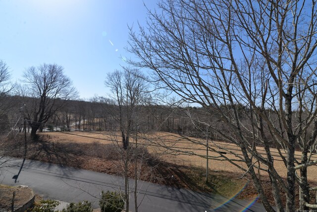 160 Halls Hill Rd, Killingly, CT 06239 - photo 39