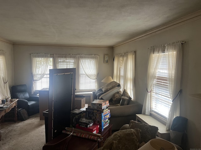 carpeted living room featuring plenty of natural light and crown molding