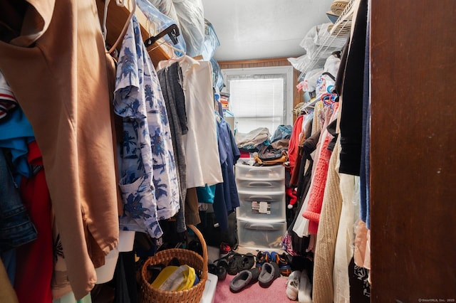 spacious closet featuring carpet flooring