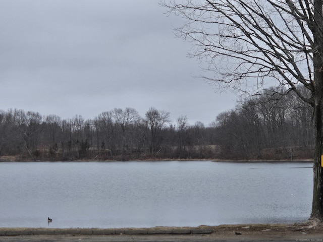 water view with a forest view