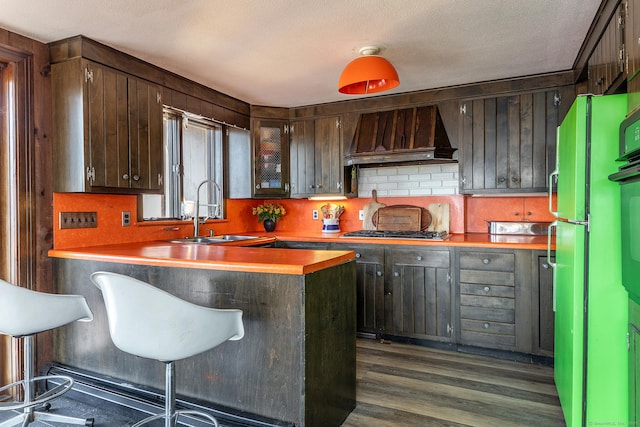 kitchen with a sink, dark wood finished floors, dark brown cabinetry, custom exhaust hood, and stainless steel gas cooktop