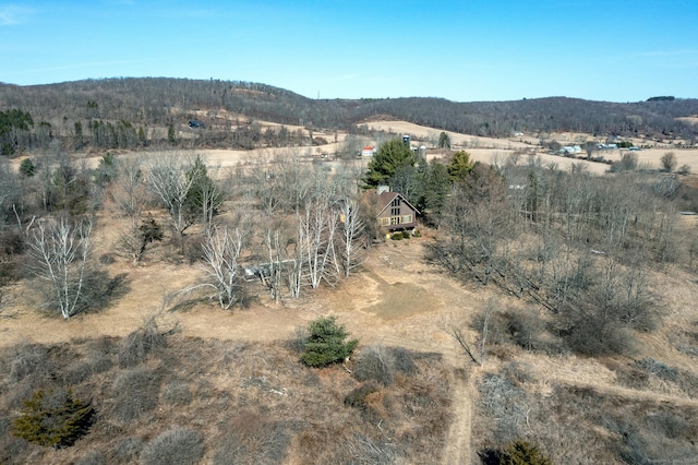 view of mountain feature