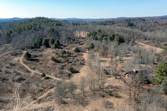 birds eye view of property with a forest view and a mountain view