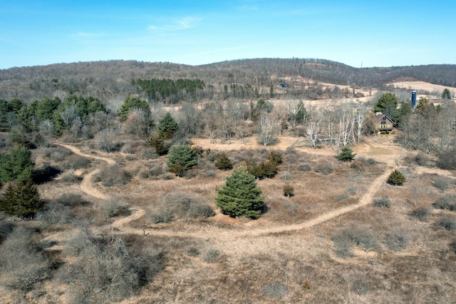 property view of mountains featuring a forest view