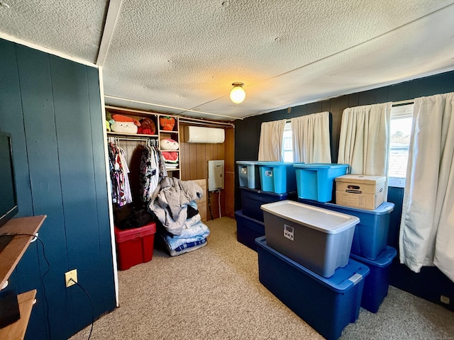 storage featuring a wall mounted air conditioner