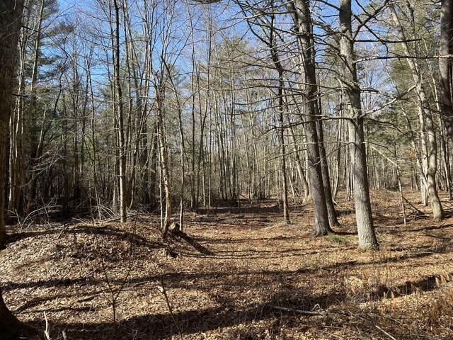 Providence Rd, Brooklyn, CT 06234 - photo 22
