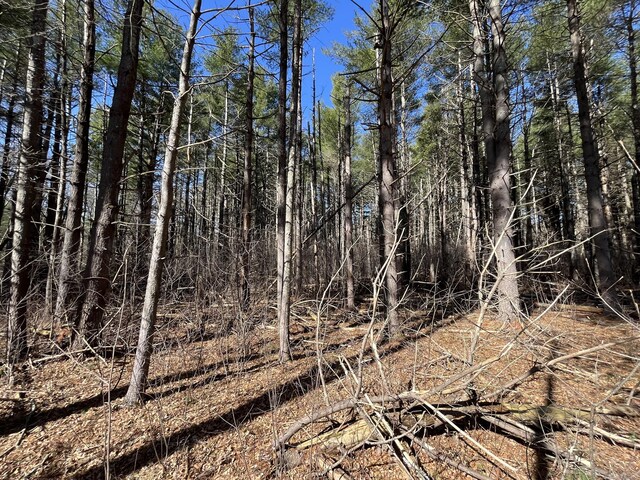 Providence Rd, Brooklyn, CT 06234 - photo 23