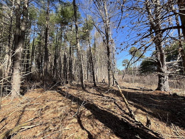 Providence Rd, Brooklyn, CT 06234 - photo 25
