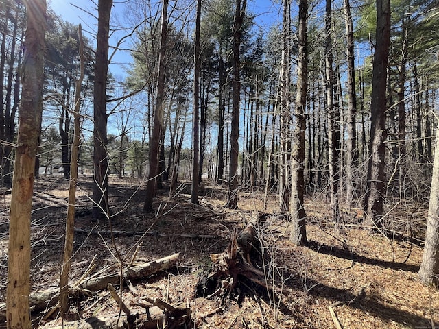 Providence Rd, Brooklyn, CT 06234 - photo 26