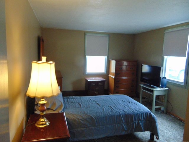 bedroom featuring multiple windows and carpet