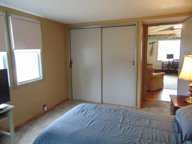 bedroom featuring a closet and carpet floors