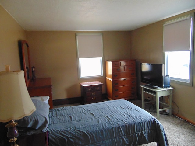 bedroom with carpet