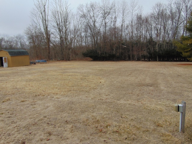 view of yard with an outbuilding and a shed