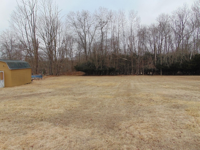 view of yard featuring a storage shed and an outdoor structure