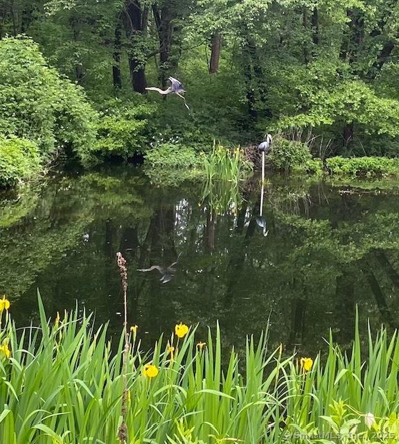 135 Wildwood Dr, Stratford, CT 06614 - view of nature
