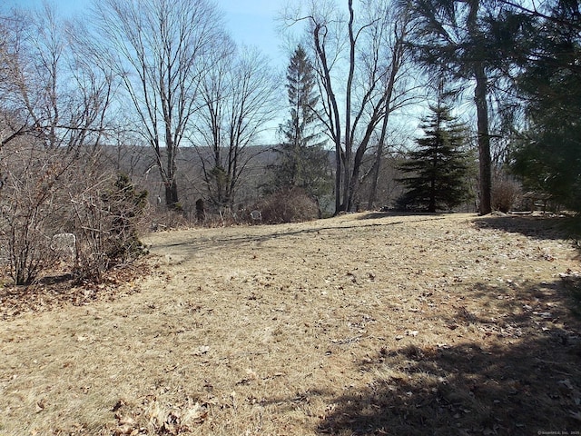 view of local wilderness